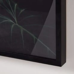 'Ama + Zonia Untitled VII' Framed Photographic Print By Fabian Albertini 62''x42'' -Home Decor Sale AmaZoniaUntitldVII62x42AV3SHF22