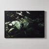 'Ama + Zonia Untitled VII' Framed Photographic Print By Fabian Albertini 62''x42'' -Home Decor Sale AmaZoniaUntitldVII62x42SHF22