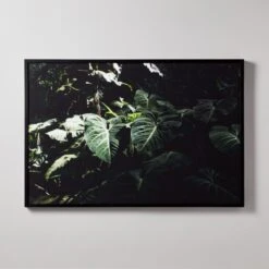 'Ama + Zonia Untitled VII' Framed Photographic Print By Fabian Albertini 62''x42''