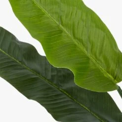 Potted Faux Bird Of Paradise 6' 11 Potted Faux Bird Of Paradise 6' -Home Decor Sale BirdOfParadiseAVF17