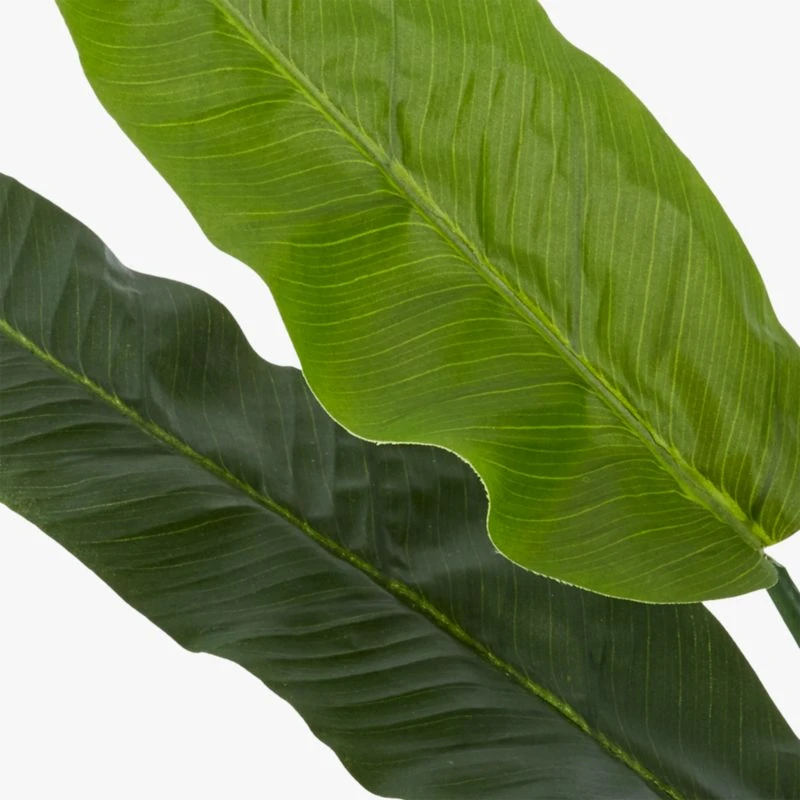 Potted Faux Bird Of Paradise 6' 7 Potted Faux Bird Of Paradise 6' - Image 5