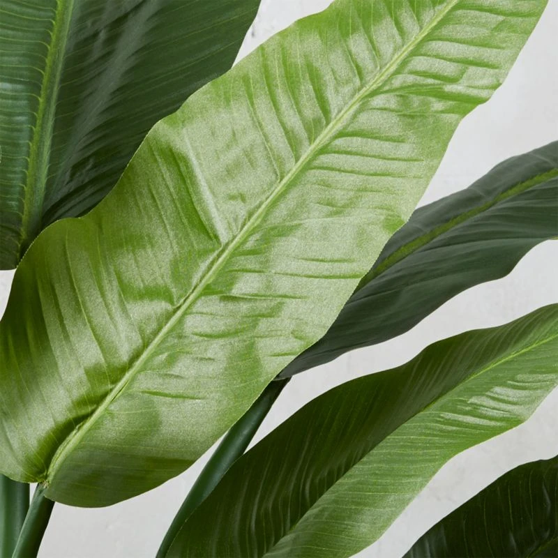 Potted Faux Bird Of Paradise 6' 4 Potted Faux Bird Of Paradise 6' - Image 2