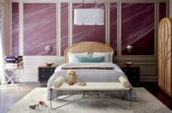 Acrylic And Leather Luggage Rack -Home Decor Sale BobilaCaneQueenBedWendellOC18