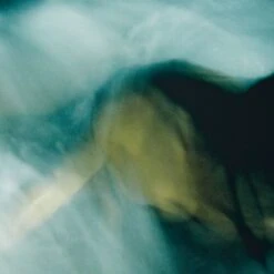 Corpi All'Infinito Untitled IV' Framed Photographic Print By Fabian Albertini 62''x42'' -Home Decor Sale CorpiAllInftUntIV62x42AV2SHF22