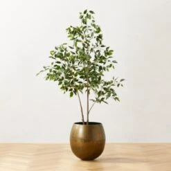 Faux Ficus Tree 6' -Home Decor Sale FauxFicusTree6p25ftROS23