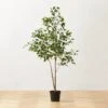 Faux Ficus Tree 6' -Home Decor Sale FauxFicusTree6p25ftSHS23