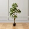 Faux Potted Money Plant 5' -Home Decor Sale FauxMoneyTree5FeetSHF20