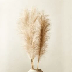 Faux Pampas Grass Taupe Stem 39" Set Of 3