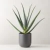 Faux Potted Aloe Vera Plant 26" -Home Decor Sale FauxPottedAloe24p5inSHS23