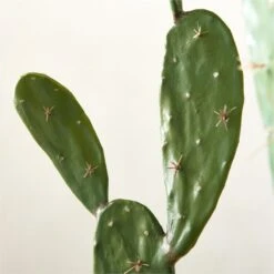 Faux Potted Cactus Plant 4'9'' -Home Decor Sale FauxPottedCactus4p9inAVSHS23