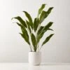 Faux Potted Iron Leaf Plant 35" -Home Decor Sale FauxPottedIronLeaf37inSHS23