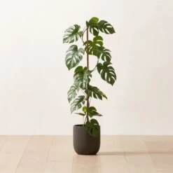 Faux Potted Monstera Deliciosa 40"