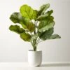 Faux Potted Watermelon Peperomia Plant 24" -Home Decor Sale FxPttdWtrmlnPprmPlant24inSHF22