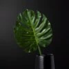 Faux Monstera Leaf 41" 1 Faux Monstera Leaf 41" -Home Decor Sale MonsteraLeaf41inSHS18