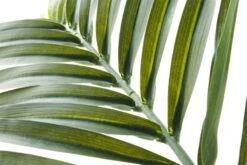 Faux Phoenix Palm Leaf 44" -Home Decor Sale PhoenixPalm44inAVS17