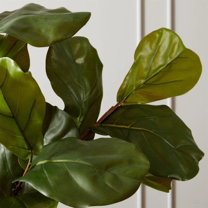 Faux Potted Fiddle Leaf Fig 7' 4 Faux Potted Fiddle Leaf Fig 7' - Image 2