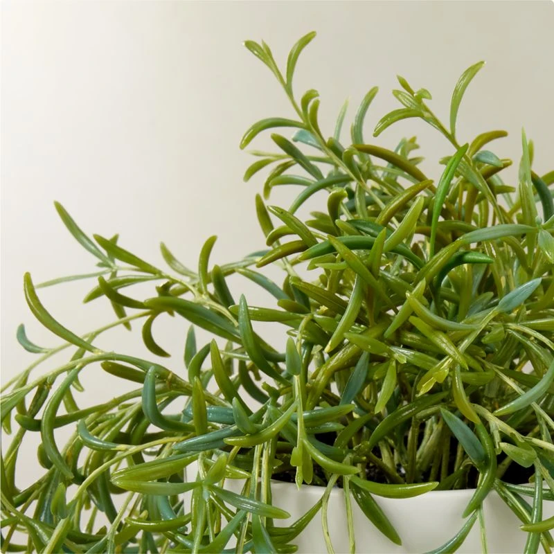 Faux String Of Bananas Plant 21" 4 Faux String Of Bananas Plant 21" - Image 2