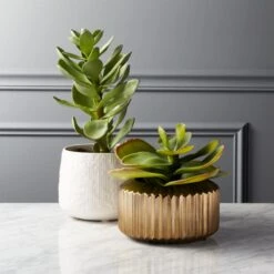 Potted Faux Succulent 14" -Home Decor Sale PottedSucculentGroupFHS18