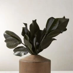 Preserved Magnolia Stems Set Of 3